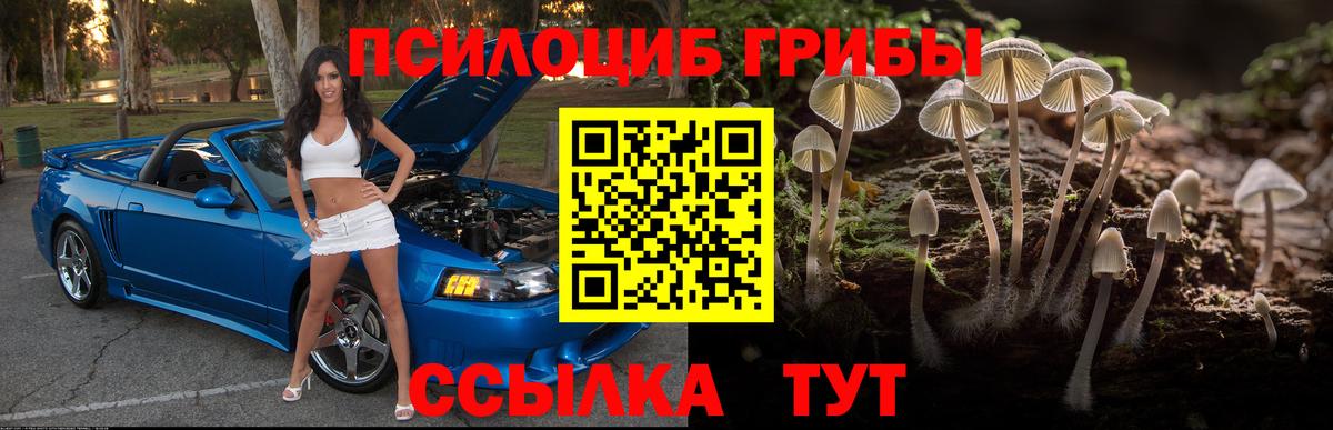 Орёл  сколько стоит  Вход с VPN  Галлюциногенные грибы ЛСД  Псилоцибиновые грибы Psilocybe 